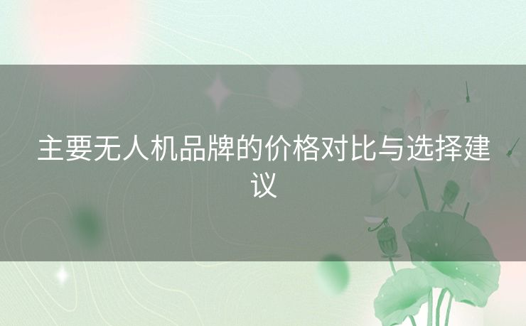 主要无人机品牌的价格对比与选择建议