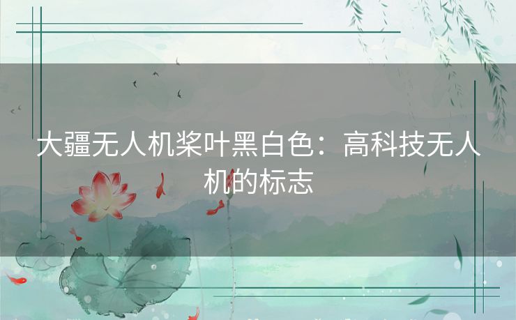 大疆无人机桨叶黑白色：高科技无人机的标志