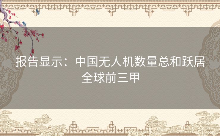 报告显示：中国无人机数量总和跃居全球前三甲