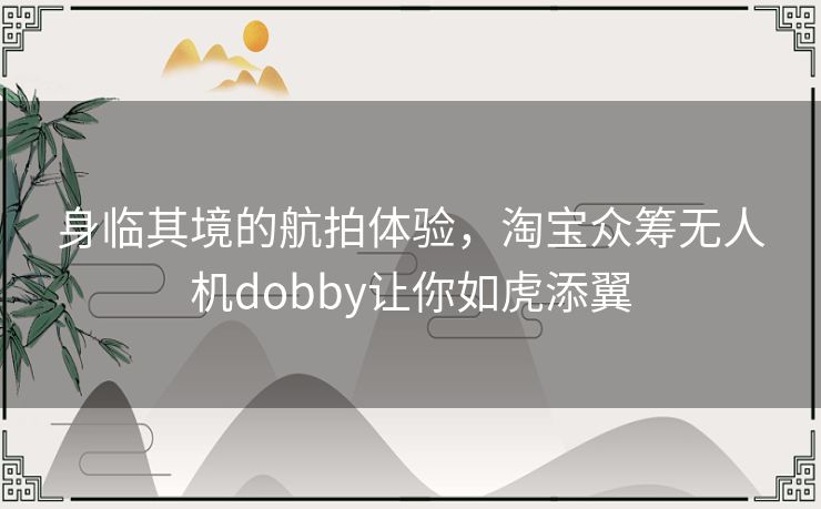 身临其境的航拍体验，淘宝众筹无人机dobby让你如虎添翼