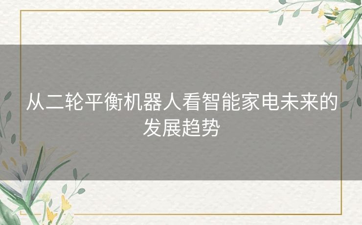 从二轮平衡机器人看智能家电未来的发展趋势