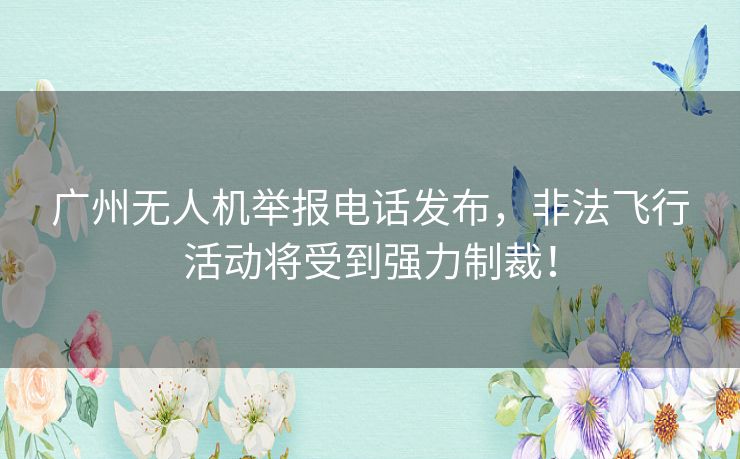 广州无人机举报电话发布，非法飞行活动将受到强力制裁！