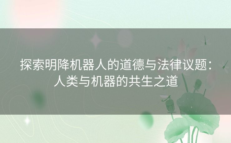 探索明降机器人的道德与法律议题：人类与机器的共生之道