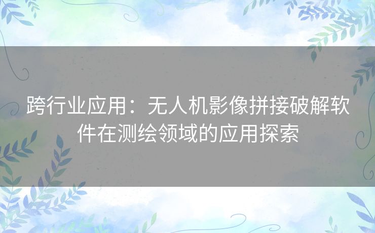 跨行业应用：无人机影像拼接破解软件在测绘领域的应用探索