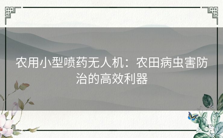 农用小型喷药无人机：农田病虫害防治的高效利器