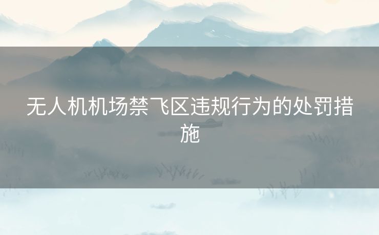 无人机机场禁飞区违规行为的处罚措施