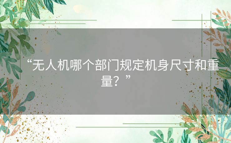 “无人机哪个部门规定机身尺寸和重量？”