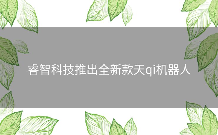 睿智科技推出全新款天qi机器人