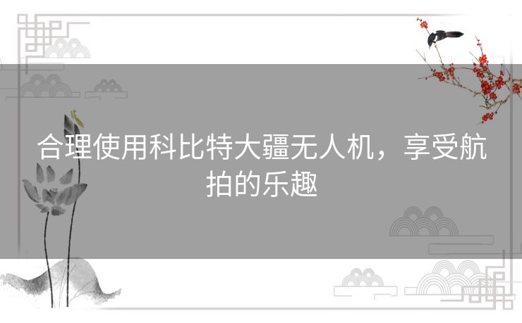 合理使用科比特大疆无人机，享受航拍的乐趣