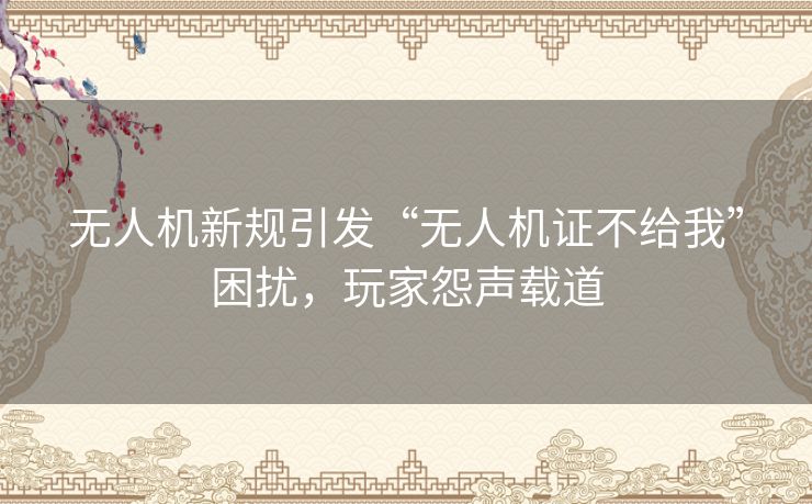 无人机新规引发“无人机证不给我”困扰，玩家怨声载道