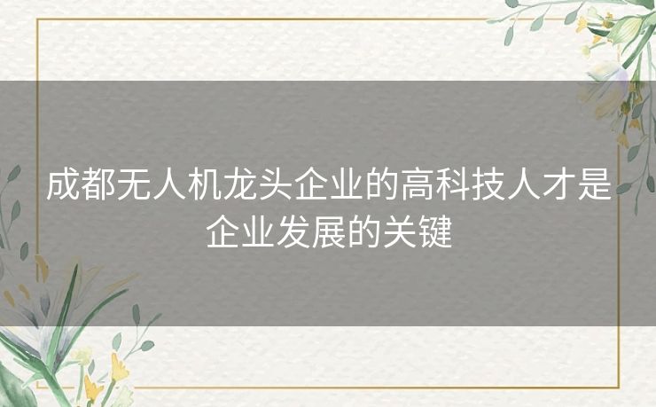 成都无人机龙头企业的高科技人才是企业发展的关键