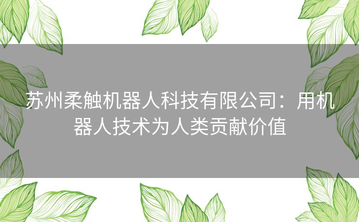 苏州柔触机器人科技有限公司：用机器人技术为人类贡献价值