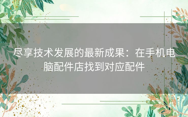 尽享技术发展的最新成果：在手机电脑配件店找到对应配件