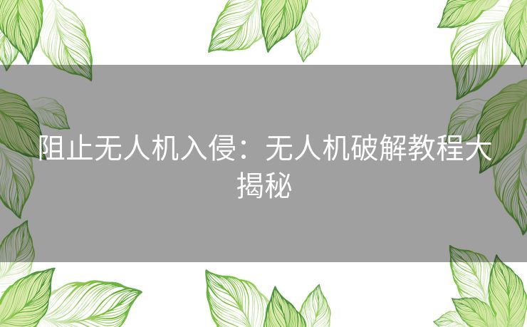 阻止无人机入侵：无人机破解教程大揭秘