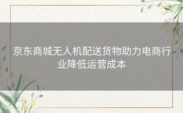 京东商城无人机配送货物助力电商行业降低运营成本