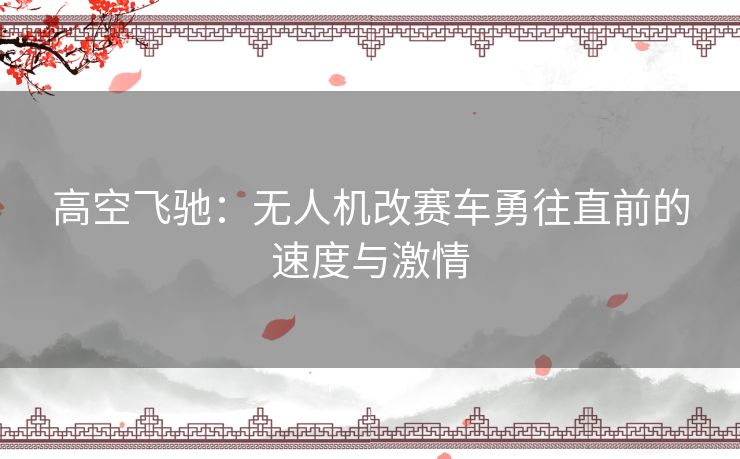 高空飞驰：无人机改赛车勇往直前的速度与激情