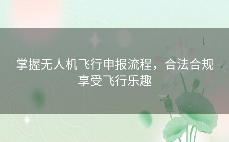 掌握无人机飞行申报流程，合法合规享受飞行乐趣