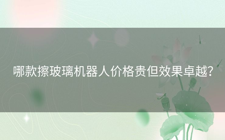 哪款擦玻璃机器人价格贵但效果卓越？