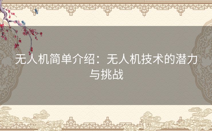 无人机简单介绍：无人机技术的潜力与挑战