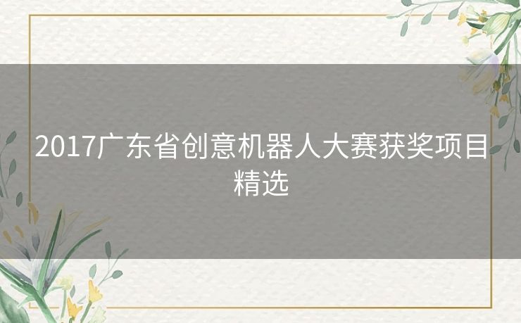 2017广东省创意机器人大赛获奖项目精选