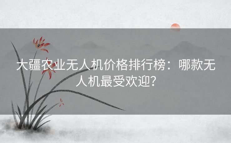 大疆农业无人机价格排行榜：哪款无人机最受欢迎？