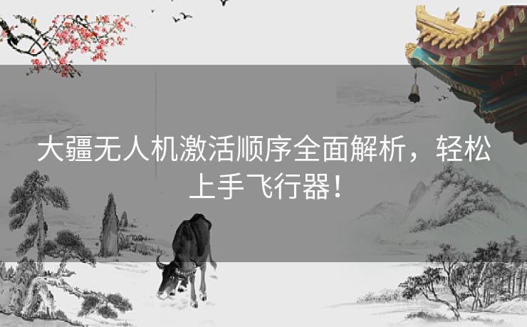 大疆无人机激活顺序全面解析，轻松上手飞行器！