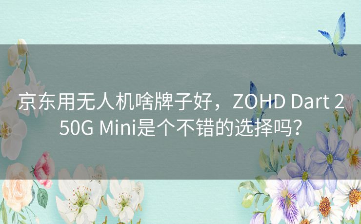 京东用无人机啥牌子好，ZOHD Dart 250G Mini是个不错的选择吗？