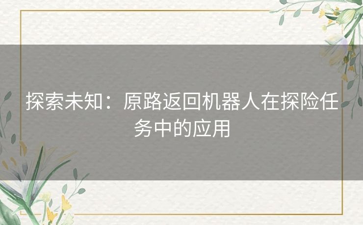 探索未知：原路返回机器人在探险任务中的应用