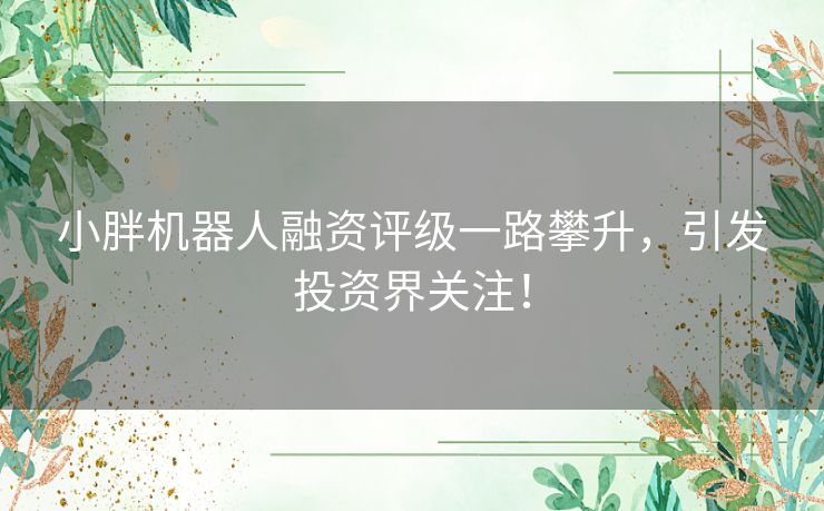 小胖机器人融资评级一路攀升，引发投资界关注！