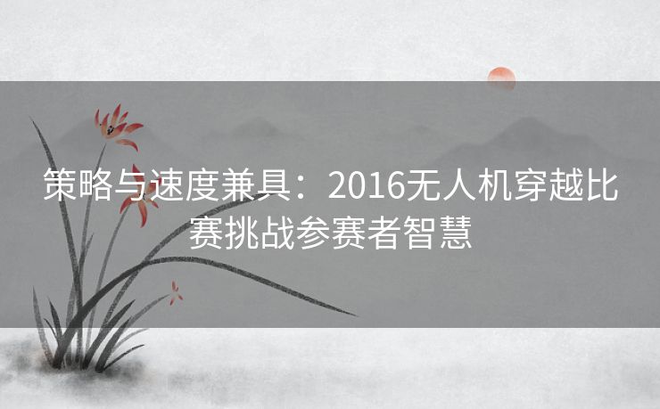 策略与速度兼具：2016无人机穿越比赛挑战参赛者智慧