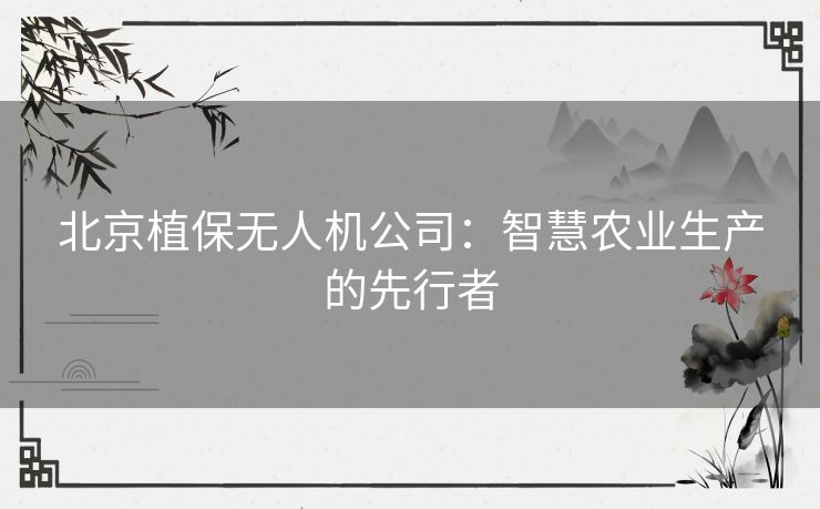 北京植保无人机公司：智慧农业生产的先行者