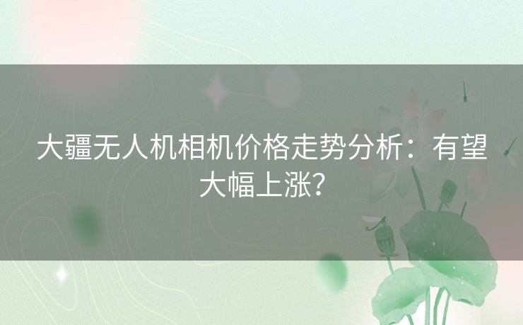 大疆无人机相机价格走势分析：有望大幅上涨？