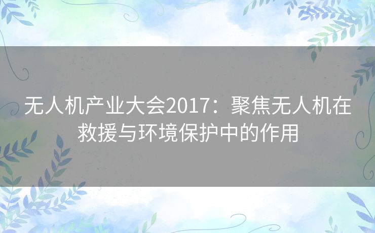 无人机产业大会2017：聚焦无人机在救援与环境保护中的作用