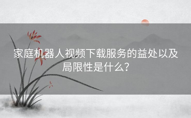 家庭机器人视频下载服务的益处以及局限性是什么？