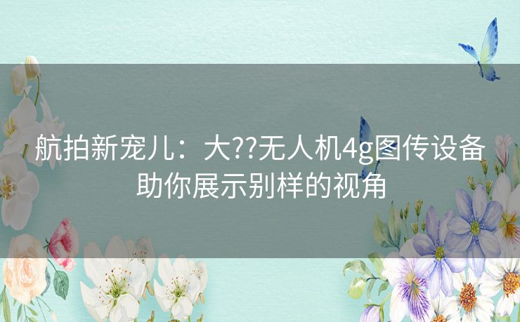 航拍新宠儿：大??无人机4g图传设备助你展示别样的视角