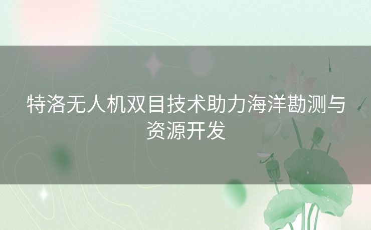 特洛无人机双目技术助力海洋勘测与资源开发