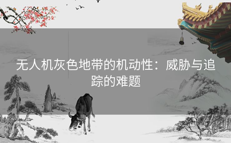 无人机灰色地带的机动性：威胁与追踪的难题