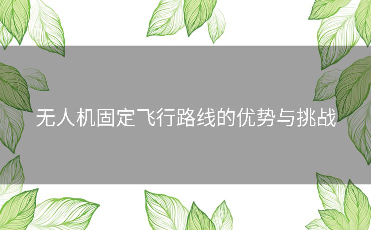 无人机固定飞行路线的优势与挑战