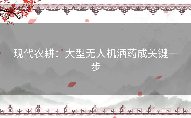 现代农耕：大型无人机洒药成关键一步