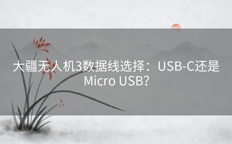 大疆无人机3数据线选择：USB-C还是Micro USB？