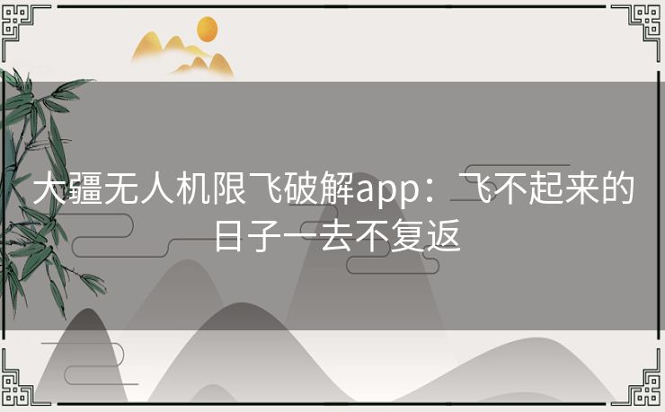 大疆无人机限飞破解app：飞不起来的日子一去不复返