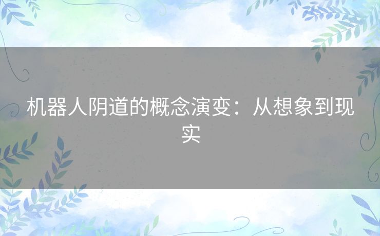 机器人阴道的概念演变：从想象到现实