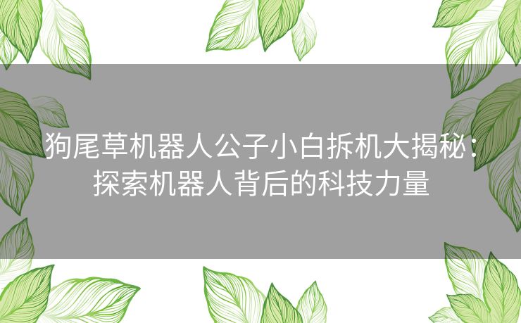 狗尾草机器人公子小白拆机大揭秘：探索机器人背后的科技力量