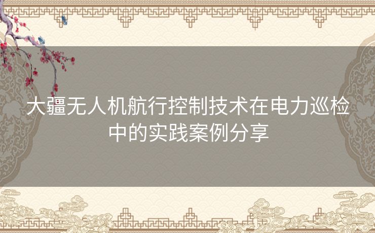 大疆无人机航行控制技术在电力巡检中的实践案例分享