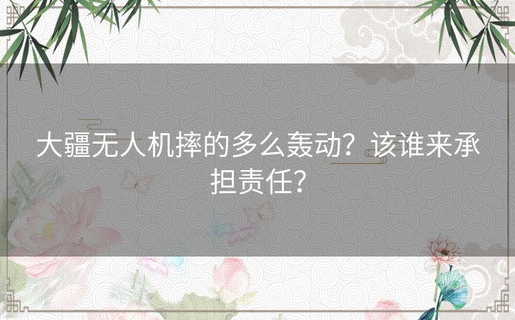 大疆无人机摔的多么轰动？该谁来承担责任？