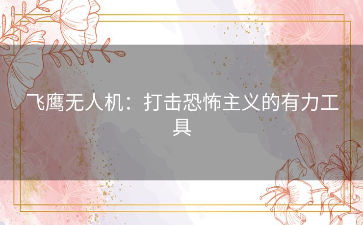 飞鹰无人机：打击恐怖主义的有力工具