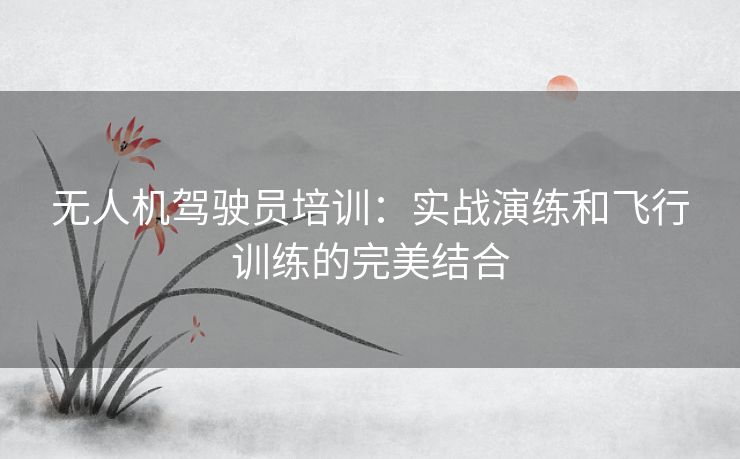 无人机驾驶员培训：实战演练和飞行训练的完美结合