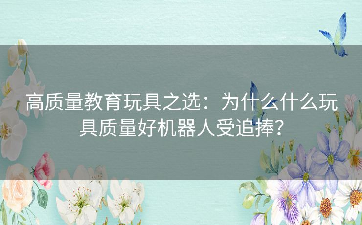 高质量教育玩具之选：为什么什么玩具质量好机器人受追捧？