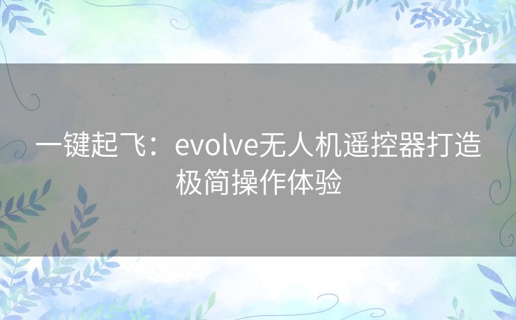 一键起飞：evolve无人机遥控器打造极简操作体验