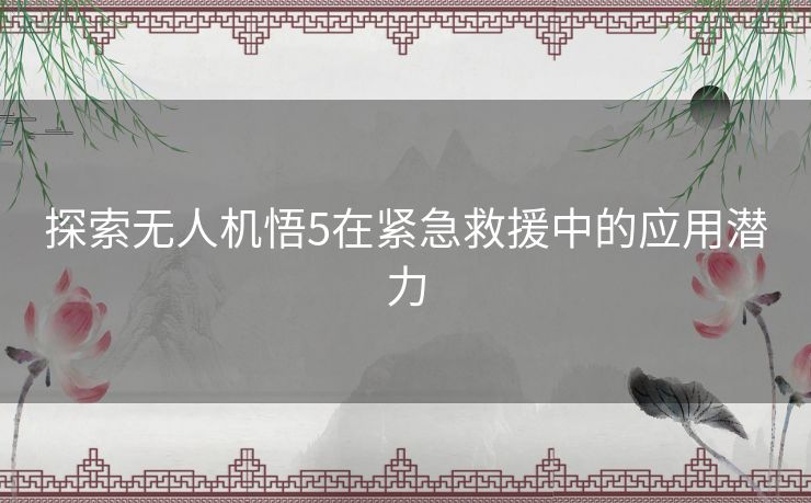 探索无人机悟5在紧急救援中的应用潜力